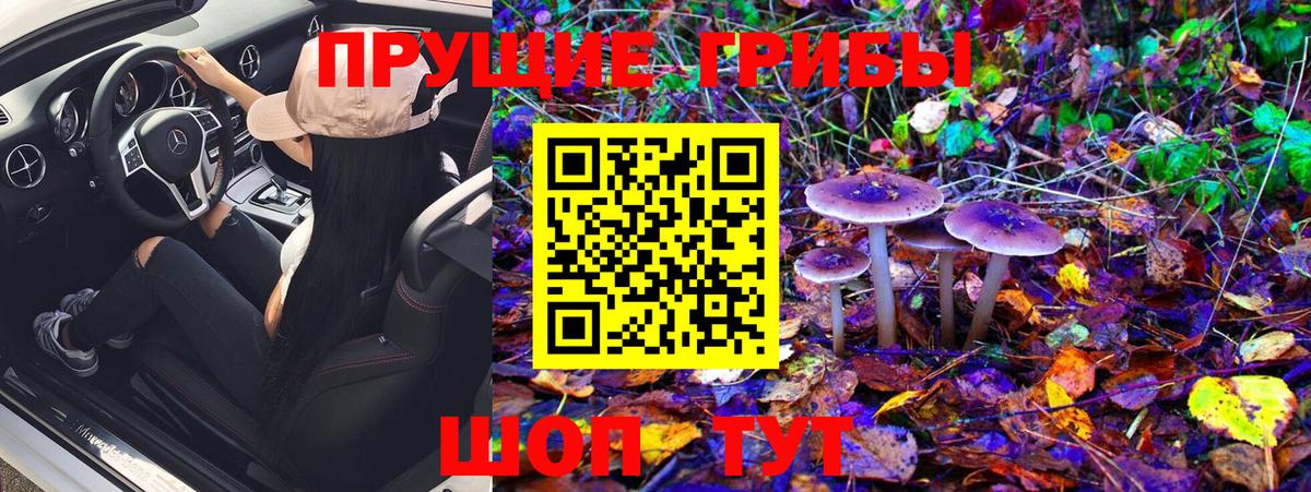 Псилоцибиновые грибы Magic Shrooms Балашов