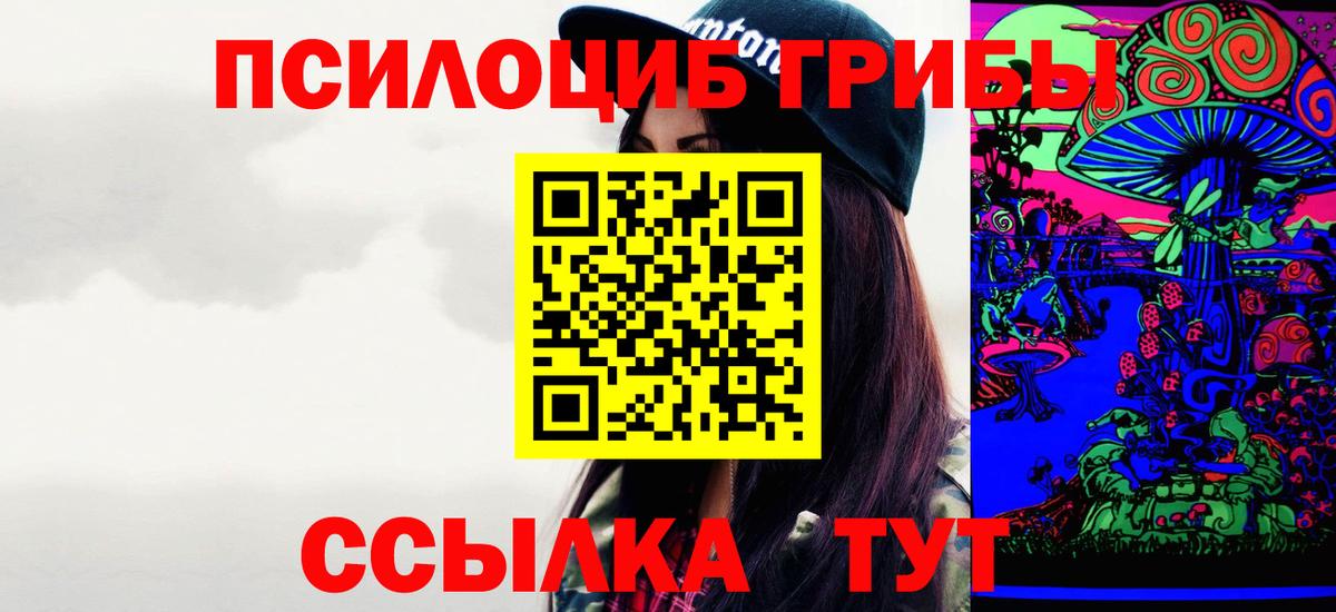 Псилоцибиновые грибы GOLDEN TEACHER  Вход с VPN  Балашов  где найти наркотики  Галлюциногенные грибы GOLDEN TEACHER 